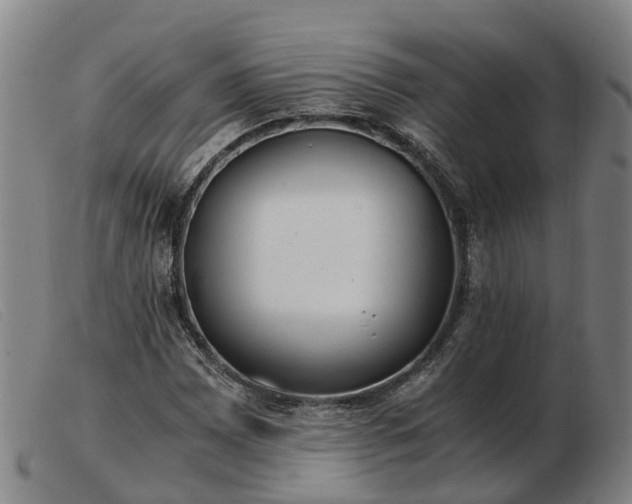 X0000103481065200809191854