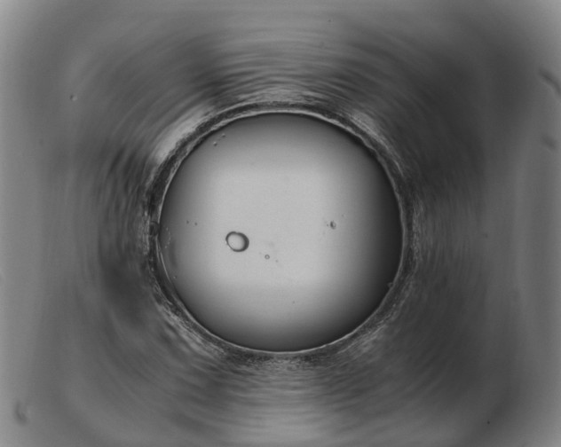 X0000103481067200809191854