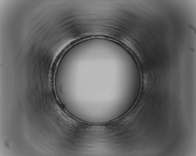 X0000103481068200809191854