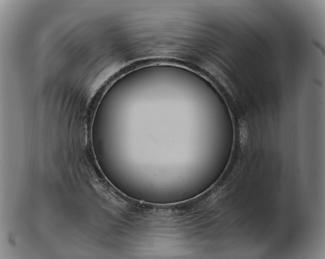 X0000103481069200809191854