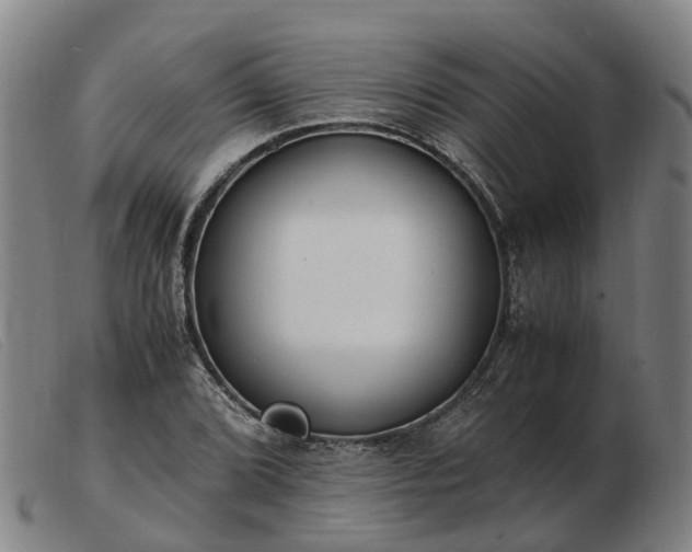 X0000103481072200809191853