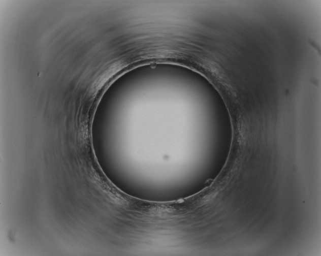 X0000103481073200809191853