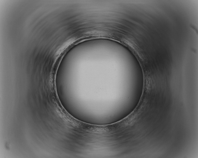 X0000103481074200809191853