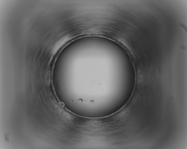 X0000103481075200809191853