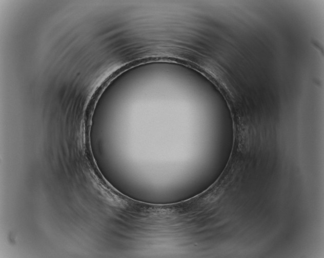 X0000103481076200809191853