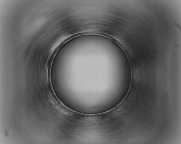 X0000103481078200809191853