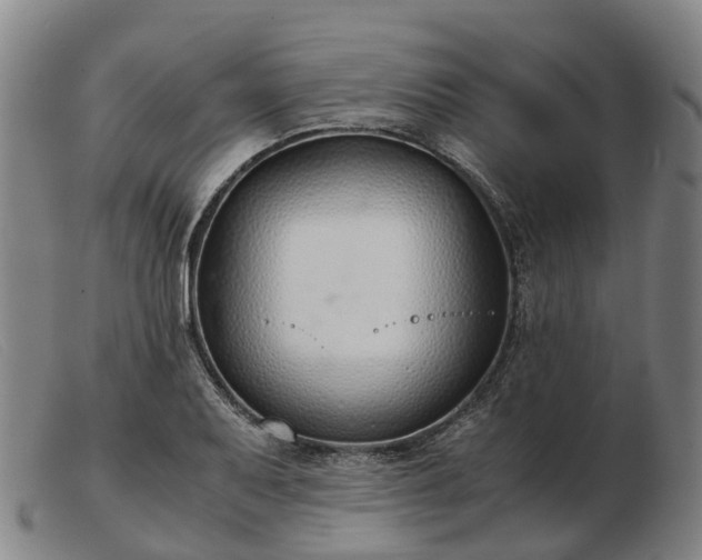 X0000103481079200809191853