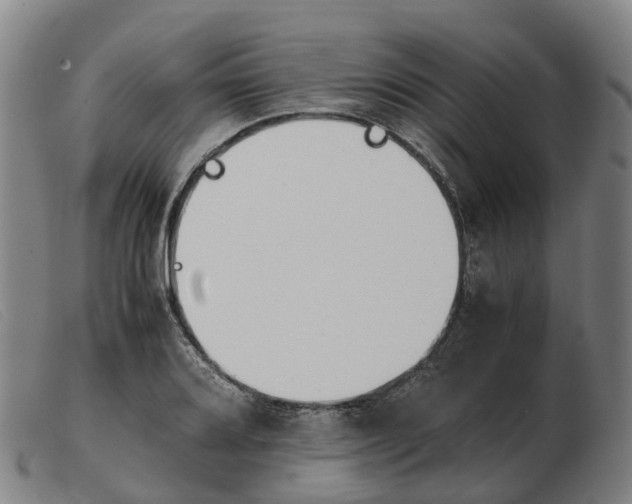 X0000103481080200809191853