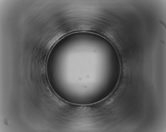 X0000103481081200809191853
