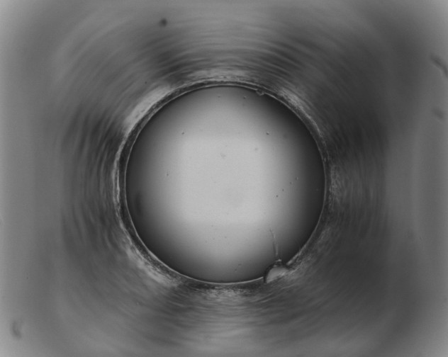 X0000103481082200809191853