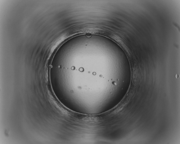X0000103481083200809191853
