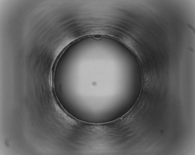 X0000103481084200809191853