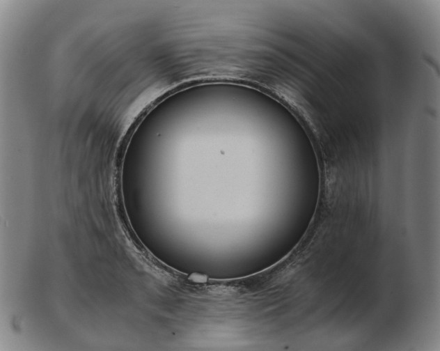 X0000103481085200809191853