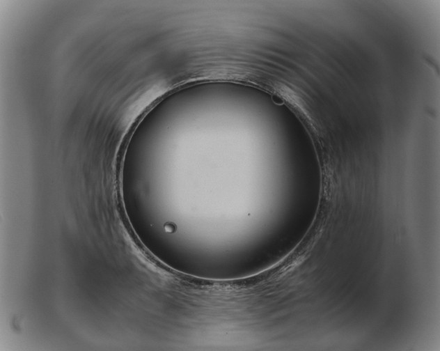 X0000103481087200809191853