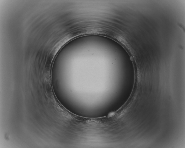 X0000103481089200809191853