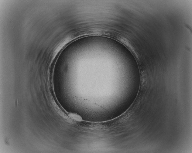 X0000103481091200809191853
