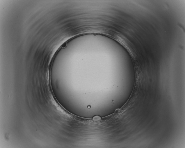 X0000103481092200809191853