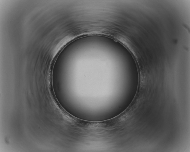 X0000103481093200809191853
