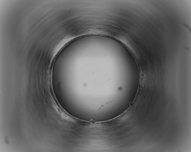 X0000103481094200809191853