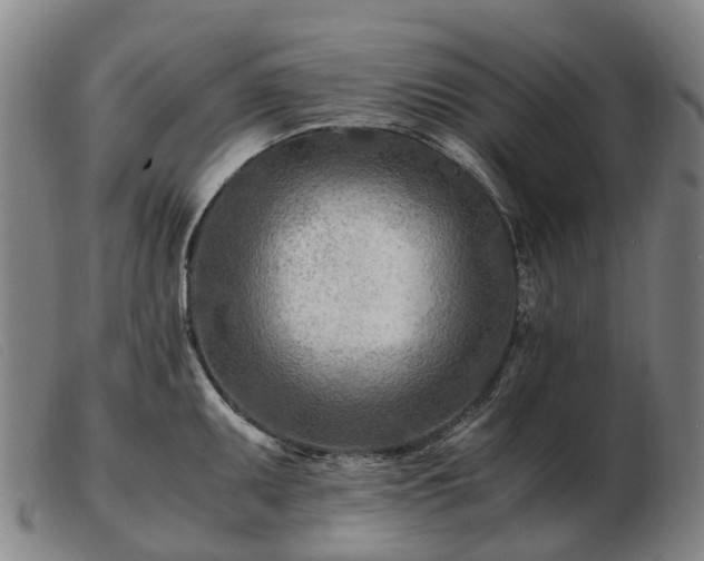 X0000103481095200809191853