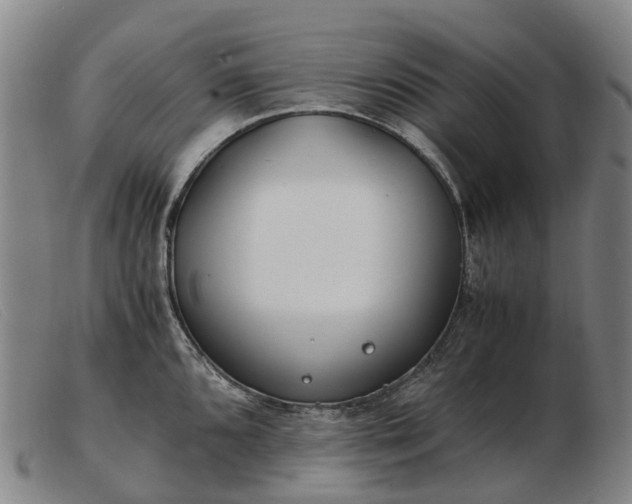 X0000103481096200809191853