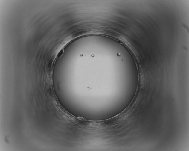 X0000103481097200809191853