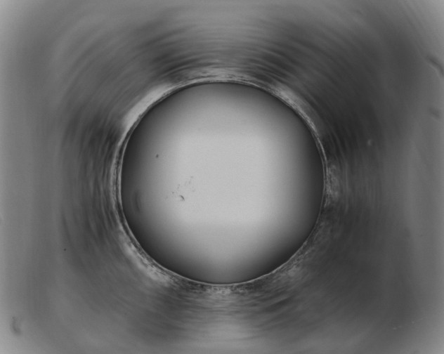 X0000103481098200809191853