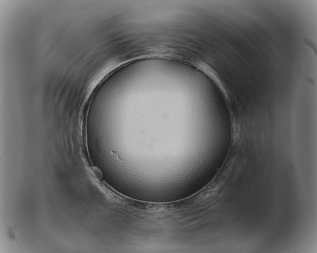 X0000103481099200809191853