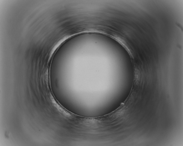 X0000103481100200809191853