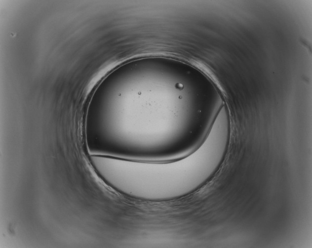 X0000103481101200809191853