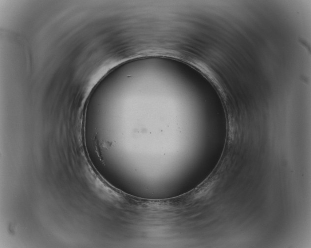 X0000103481102200809191853