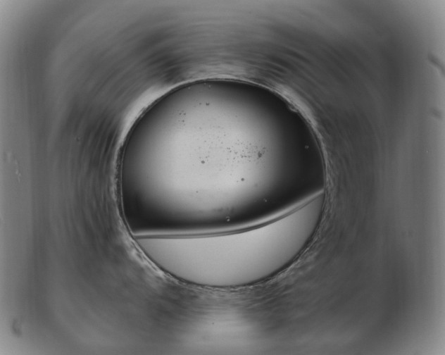 X0000103481104200809191853