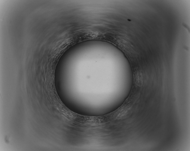 X0000103481105200809191852