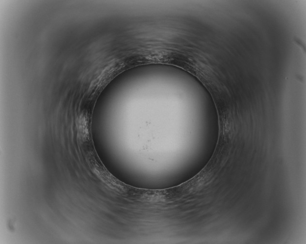 X0000103481106200809191852
