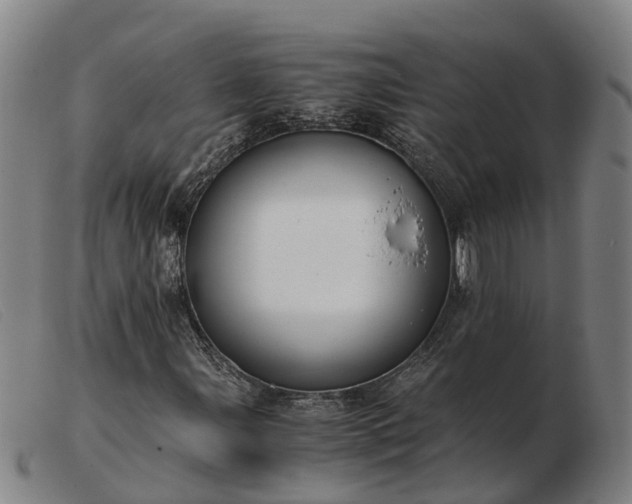 X0000103481107200809191852