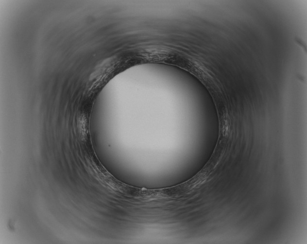 X0000103481108200809191852
