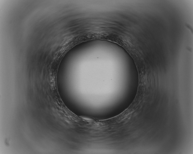 X0000103481109200809191852