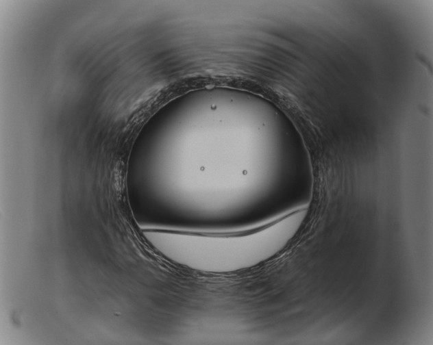 X0000103481110200809191852