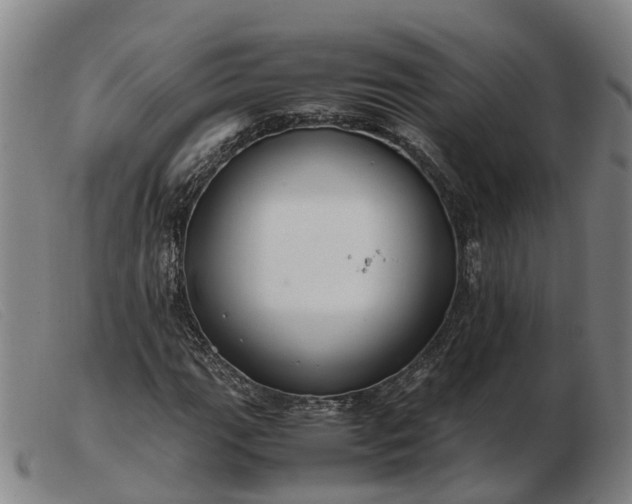 X0000103481111200809191852
