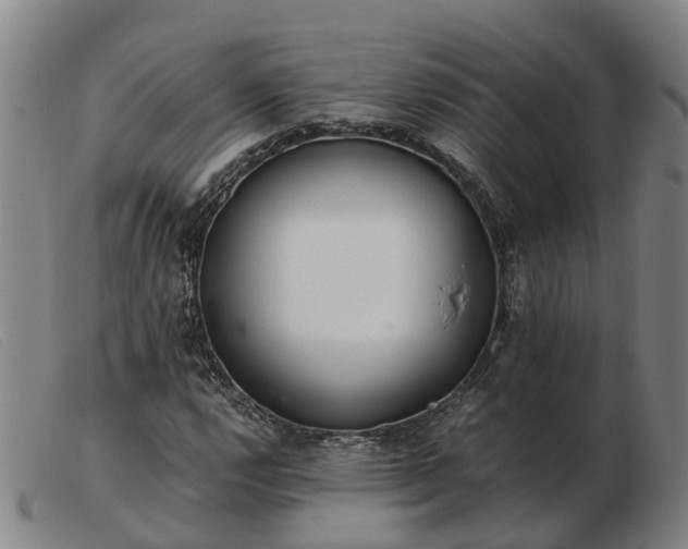 X0000103481112200809191852