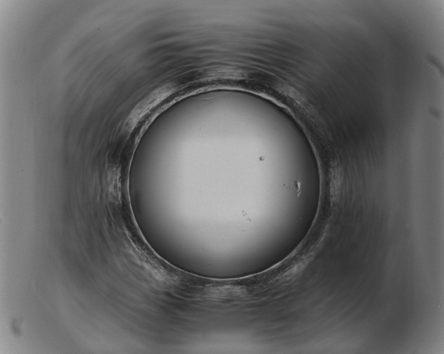 X0000103481113200809191852