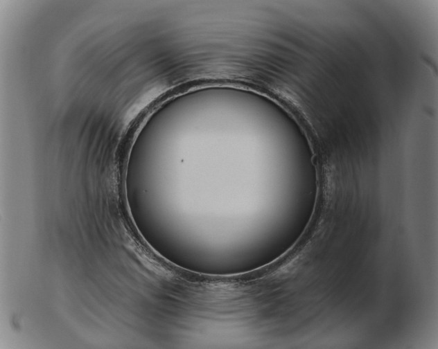 X0000103481114200809191852
