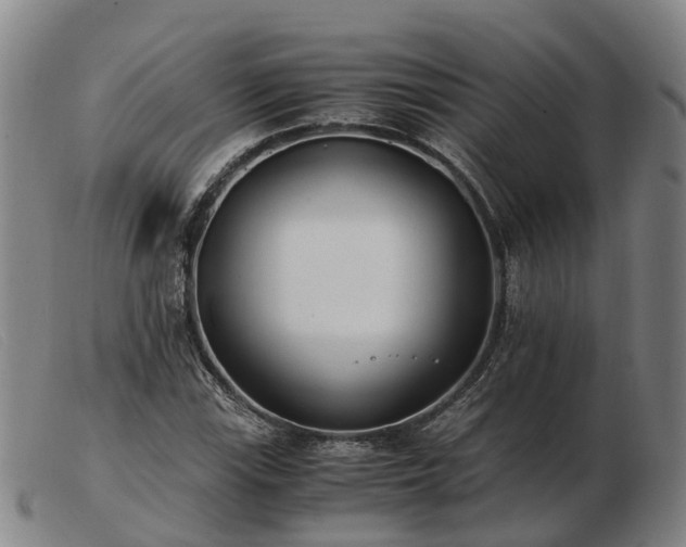 X0000103481115200809191852