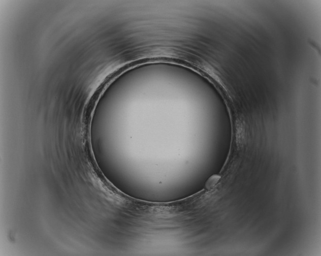 X0000103481116200809191852