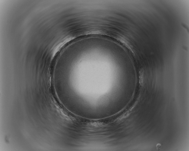 X0000103481117200809191852