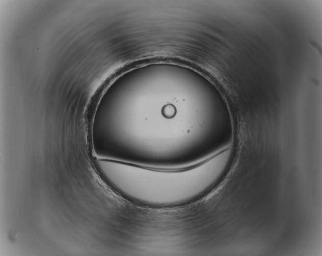 X0000103481118200809191852