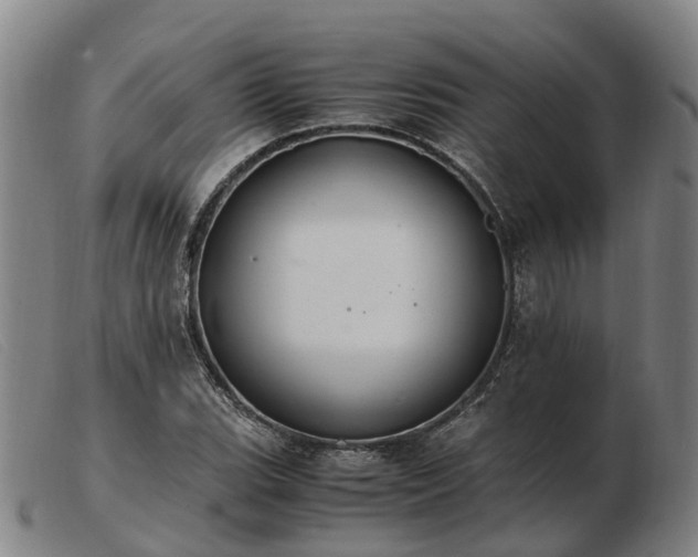 X0000103481119200809191852