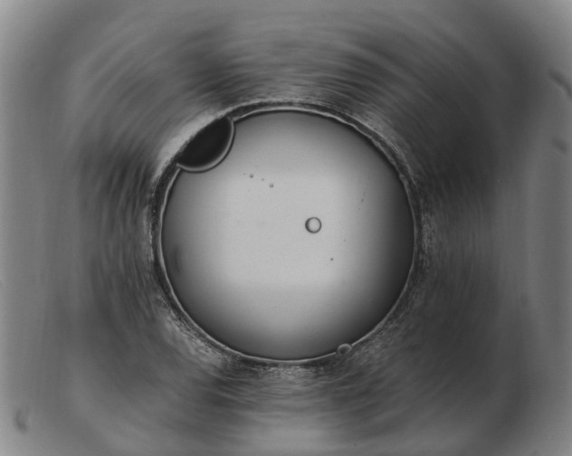 X0000103481120200809191852