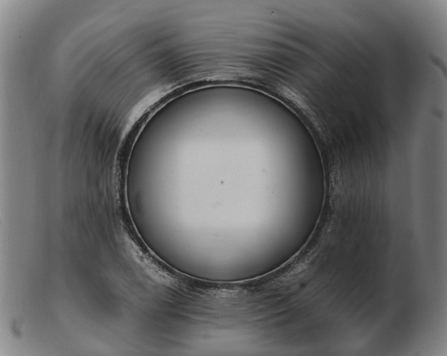 X0000103481122200809191852