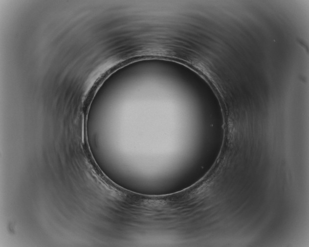 X0000103481123200809191852